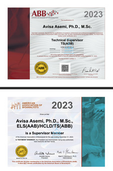 安维纳(Anvino) 合作中心实验室技术主管 ABB 认证证书 | Anvino Partner: Laboratory Technical Supervisor ABB Certification (Ph.D.) - Certificate