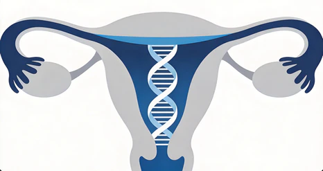 IVF 卵子捐赠（Egg Donation）医学指南：供卵者筛查标准、临床流程与活产率预期