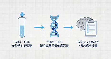 卵子捐赠者（Egg Donor）医学与遗传学筛查标准解析
