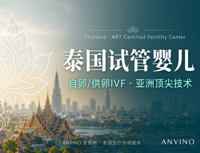 泰国第三代试管婴儿IVF医疗方案 - Service Detail