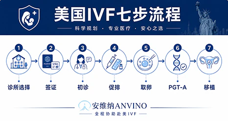 美国试管婴儿流程2026：签证申请到移植的完整攻略