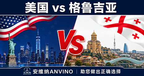 美国vs格鲁吉亚代孕：高净值家庭如何做最终选择