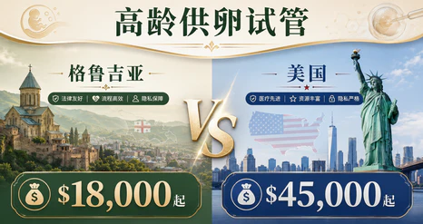 高龄供卵试管：选格鲁吉亚还是美国？